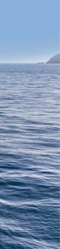 DMS ARG Boat Rolling Reduction